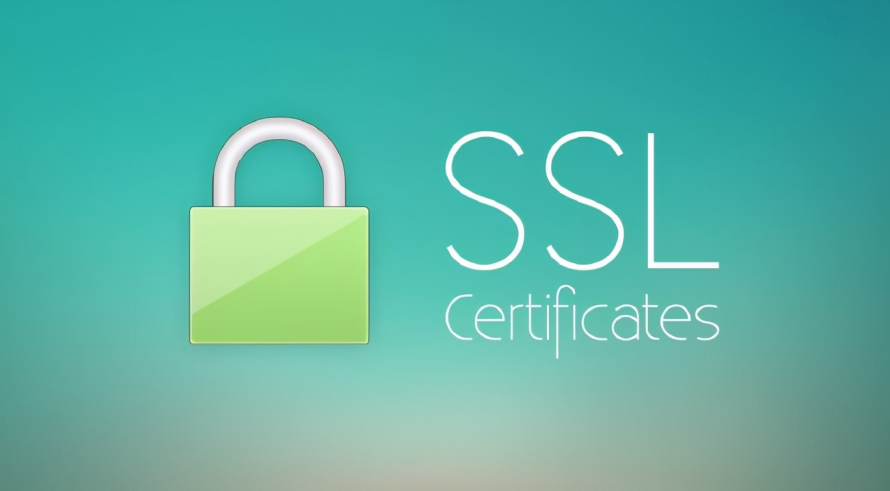 通过 acme.sh 申请 Zero SSL 免费泛域名证书 